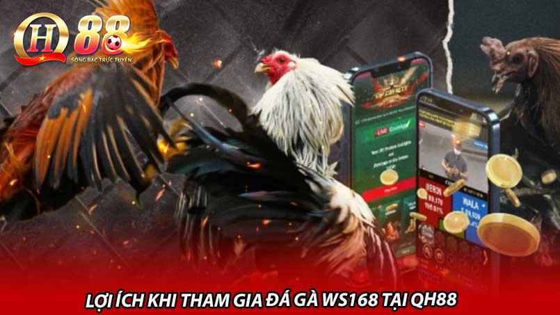 Lợi ích khi tham gia đá gà WS168 tại QH88